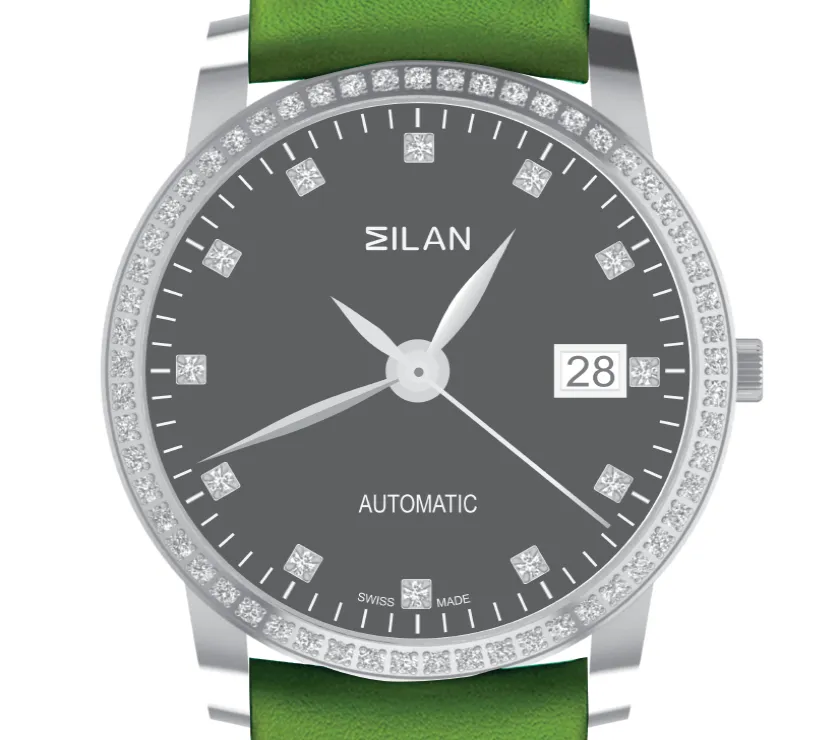 Eilan & Ruby Diamond CZ M9906 Grey Dial  Automatic Men's Watch